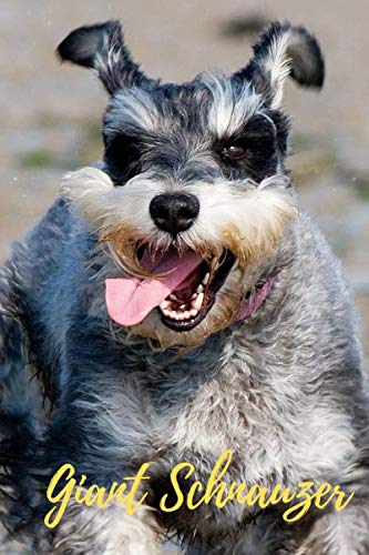 Notebook: Unlined Notebook, Giant Schnauzer, Dog, Journal, Diary (110 Pages, Blank, 6 x 9) (Dogs, Band 1) Pets