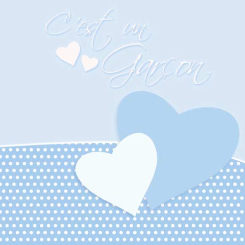 C'est un garçon: Livre d’or de naissance pour garçon | Baby Shower | Cœurs bleus et blanc | 100 pages à remplir | Format 8,25" x 8,25" Photography