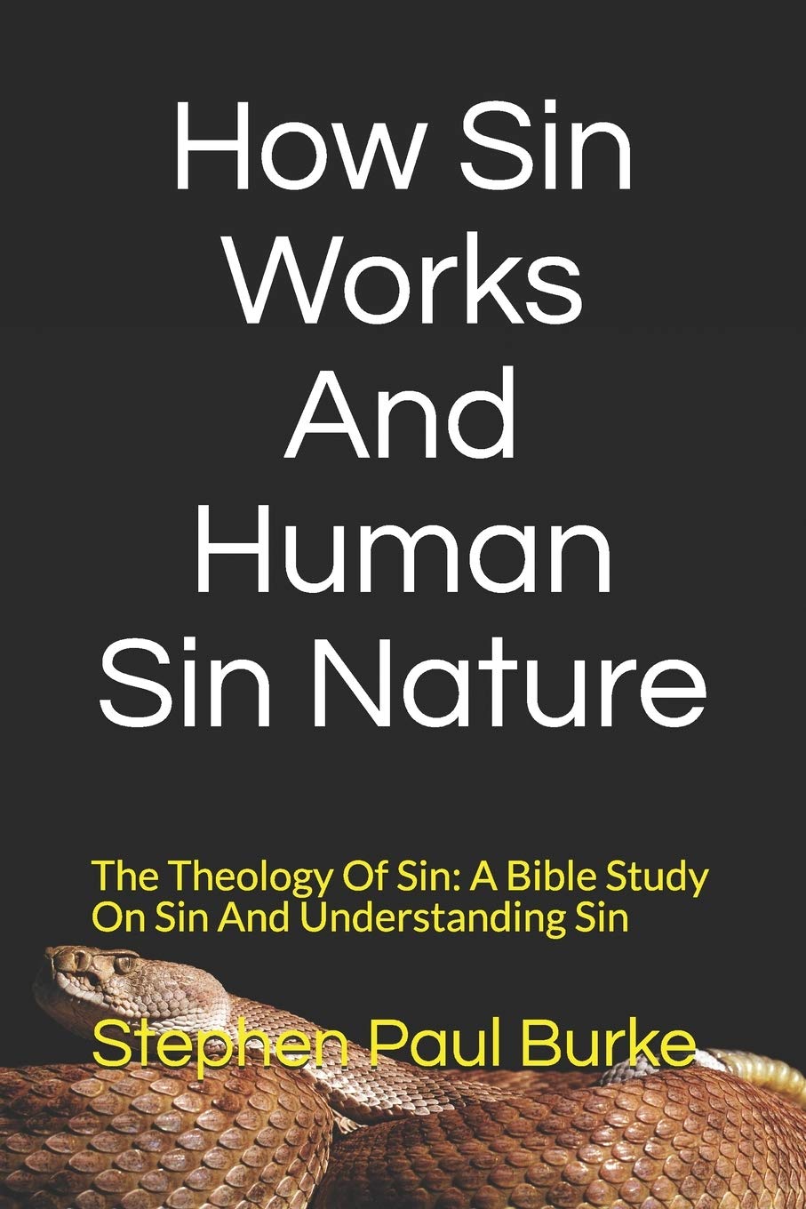 How Sin Works And Human Sin Nature: The Theology Of Sin: A Bible Study On Sin And Understanding Sin (Salvation To Success, Band 5) Religion & Esotericism