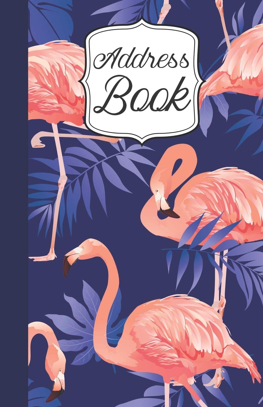 Address Book: Birthdays & Address Book for Contacts, Phone Numbers, Addresses, Email, Social Media & Birthdays (Address Books) Essays & Short Stories