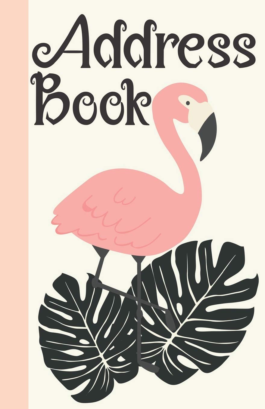 Address Book: Birthdays & Address Book for Contacts, Phone Numbers, Addresses, Email, Social Media & Birthdays (Address Books) Essays & Short Stories