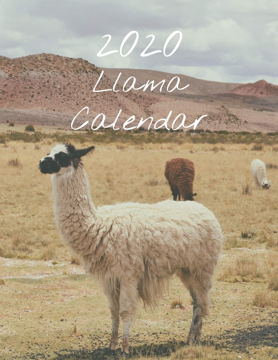2020 Llama Calendar: Monthly 2020 Llama Images Calendar With Large Image and Calendar Dates, Spaces to Record Income, Expenses, Important Dates, ... a Book or Pull out the Calendar Pages to Hang Mathematics
