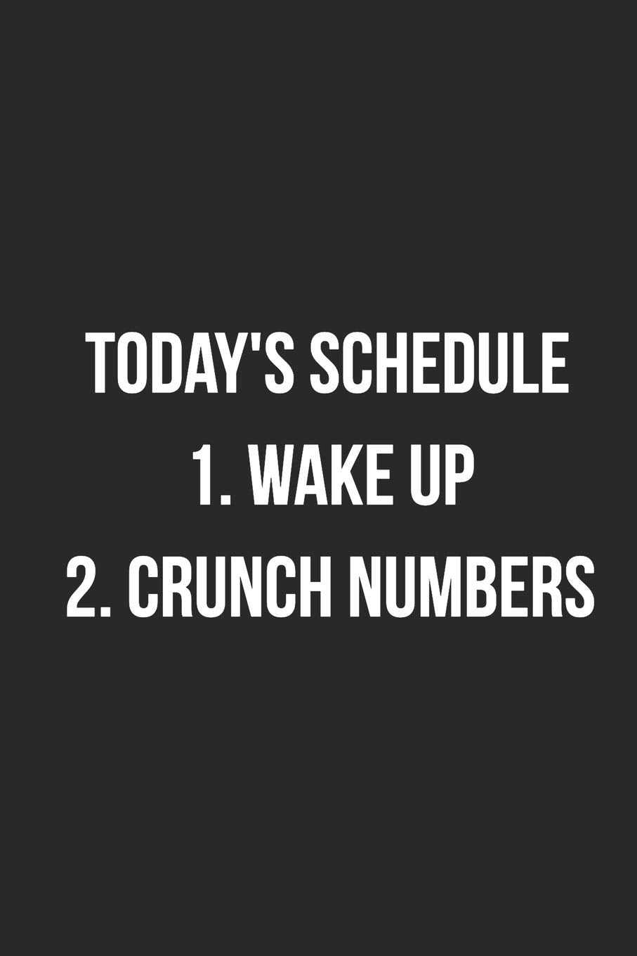 Today's Schedule 1. Wake Up 2. Crunch Numbers: Blank Lined Journal For Accountants CPA Accountancy Notebook Accounting Coworker Gag Gift book