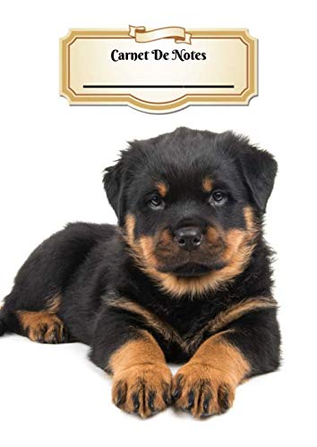 Carnet De Notes: Rottweiler | Chiot ou Chien | A4 139 Pages Avec Papier Quadrillé 5 x 5 mm | Cahier d'exercices | Cahier d'écolier | Graph Paper Journal | Notebook | Espace pour votre nom Pets