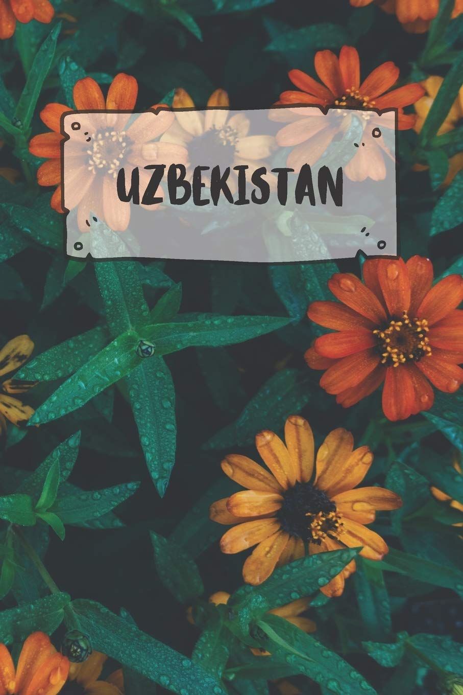 Uzbekistan: Ruled Travel Diary Notebook or Journey Journal - Lined Trip Pocketbook for Men and Women with Lines Books