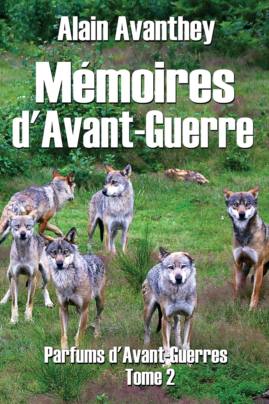 Mémoires d'Avant-Guerre: Parfums d'Avant-Guerres - Tome 2 Contemporary literature