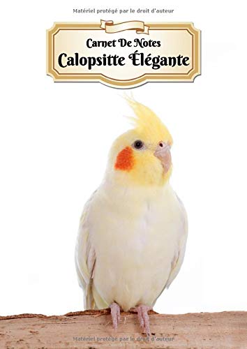 Carnet De Notes Calopsitte Élégante: Oiseau | A4 139 Pages Avec Papier Pointillé | Bullet Journal | Lettering | Art Notes | Cahier | Dotted Journal | Notebook Mathematics