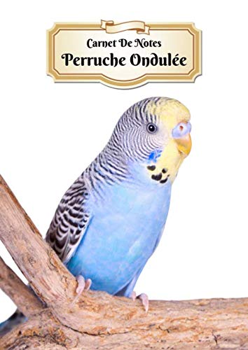 Carnet De Notes Perruche Ondulée: Oiseau | A4 139 Pages Avec Papier Quadrillé 5 x 5 mm | Cahier d'exercices | Cahier d'écolier | Graph Paper Journal | Notebook Mathematics