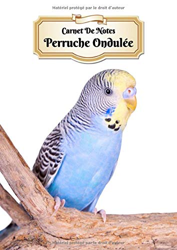 Carnet De Notes Perruche Ondulée: Oiseau | A4 139 Pages Avec Papier Pointillé | Bullet Journal | Lettering | Art Notes | Cahier | Dotted Journal | Notebook Mathematics