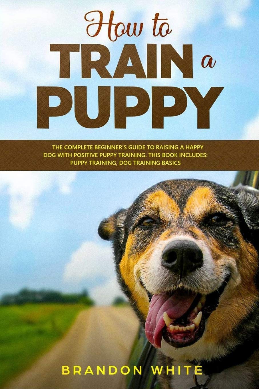 How to Train a Puppy: The Complete Beginner’s Guide to Raising a Happy Dog with Positive Puppy Training. This Book Includes: Puppy Training, Dog Training Basics Medicine