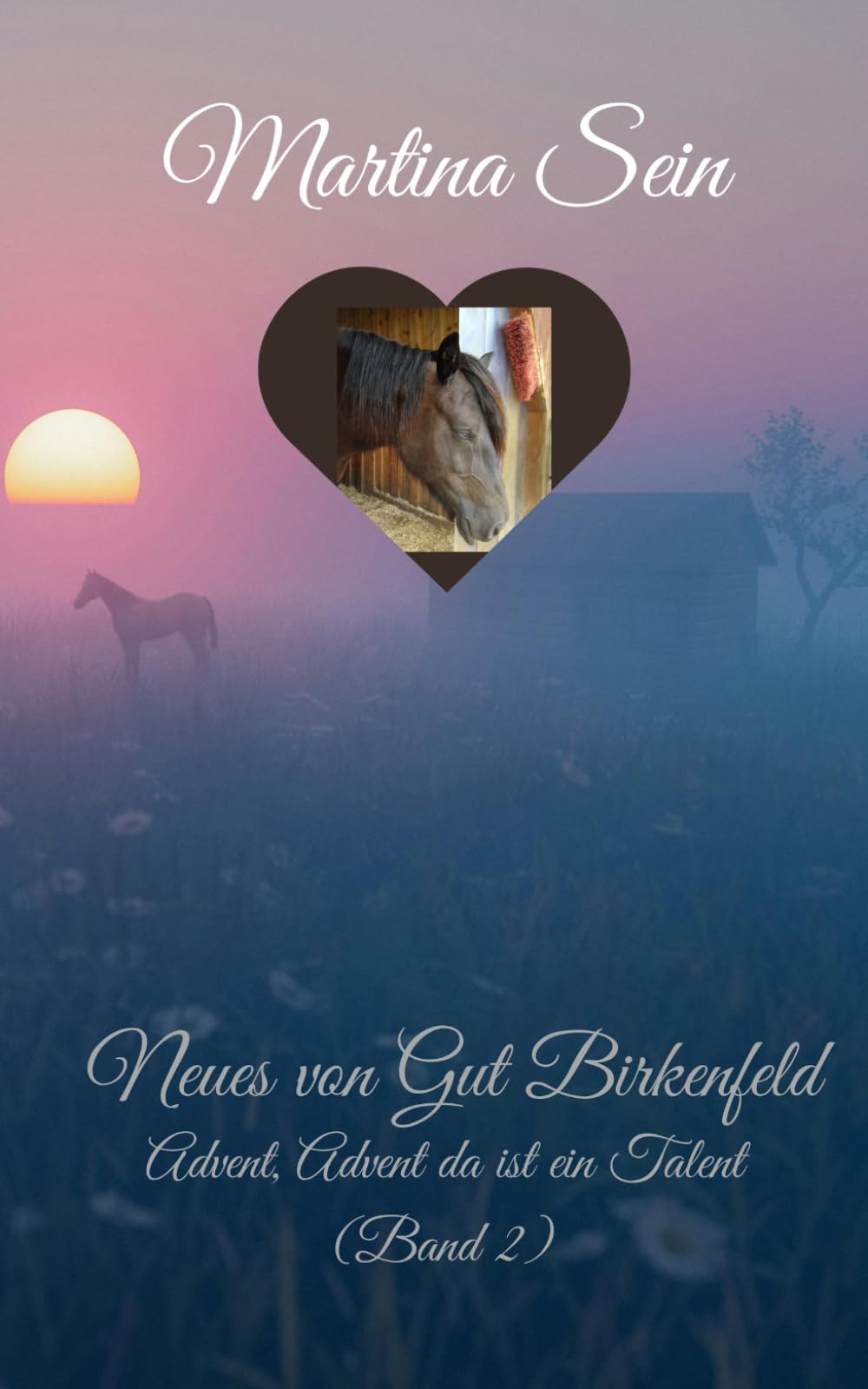 Neues von Gut Birkenfeld: Advent, Advent, da ist ein Talent book
