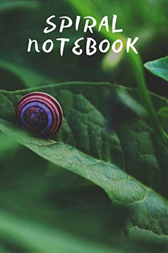 Spiral Notebook: Notebook,Journal, Diary,the notebook for creative note taking or journaling at school.Perfect gift for Women and Men (110 Pages, Blank, 6 x 9) Learning & Reference