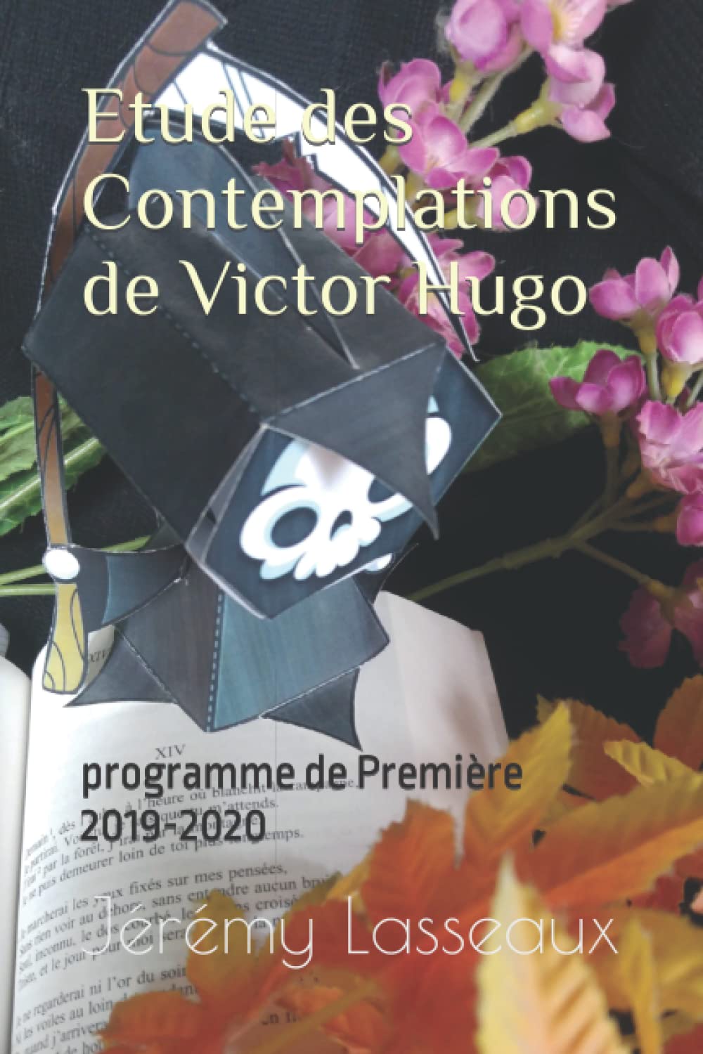 Etude des Contemplations de Victor Hugo: programme de Première 2019-2020 (Analyse d’œuvres littéraires) Contemporary literature