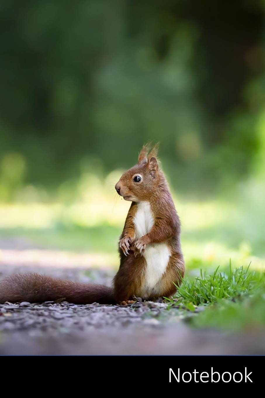 Notebook: Eichhörnchen, Natur, Niedlich, Wild Notizbuch / persönliches Tagebuch / Schreibheft / Logbuch / Tages- oder Trainingsplaner / Vokabelheft / ... 150 linierte Seiten, glänzende Oberfläche. Non-fiction