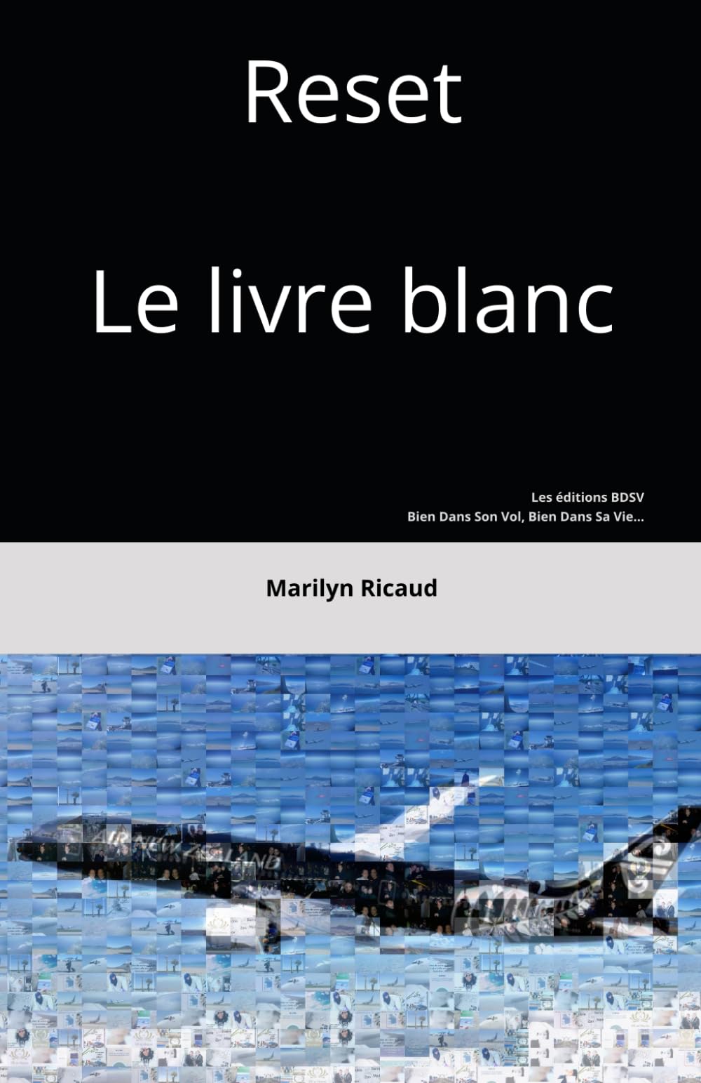 Reset-Le livre blanc: Hors-série de la collection Le guide sophrologique du PN ou du Passager book