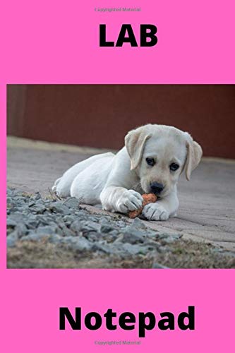 Labrador Retriever Notepad: Journal / Diary / Notebook, Gifts For Dog Lovers (Lined, 6" x 9") Awesome Notepad for Daily Diary, To Do List, Perfect Gift for Dog Lovers! Pets