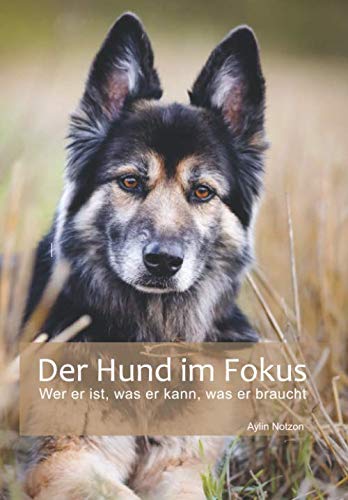Der Hund im Fokus: Wer er ist, was er kann, was er braucht Pets