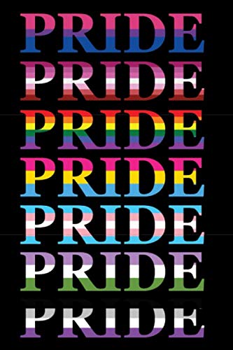 PRIDE: LGBT, asexual, bisexual, genderqueer, pansexual, transgender, lesbian , lined journal, blank notebook, 6"x 9", 100 pages for writing notes. LGBTQ+