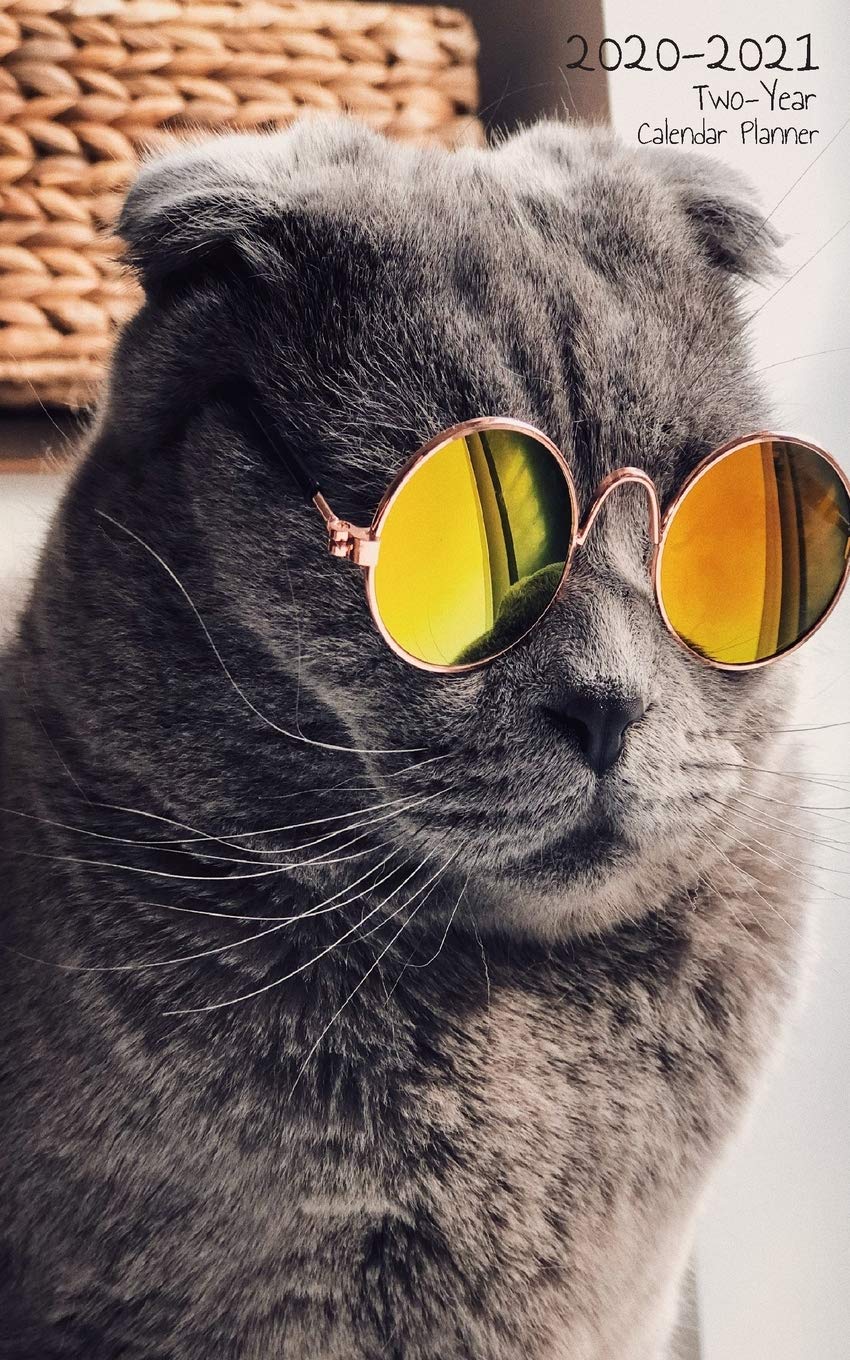 Two-Year Pocket Calendar Planner: Pocket Agenda Purse Size With Notes - 2 Year Organizer Scottish Fold in Sunglasses (2020-2021 Calendar Books, Band 5) Business, Finance & Career