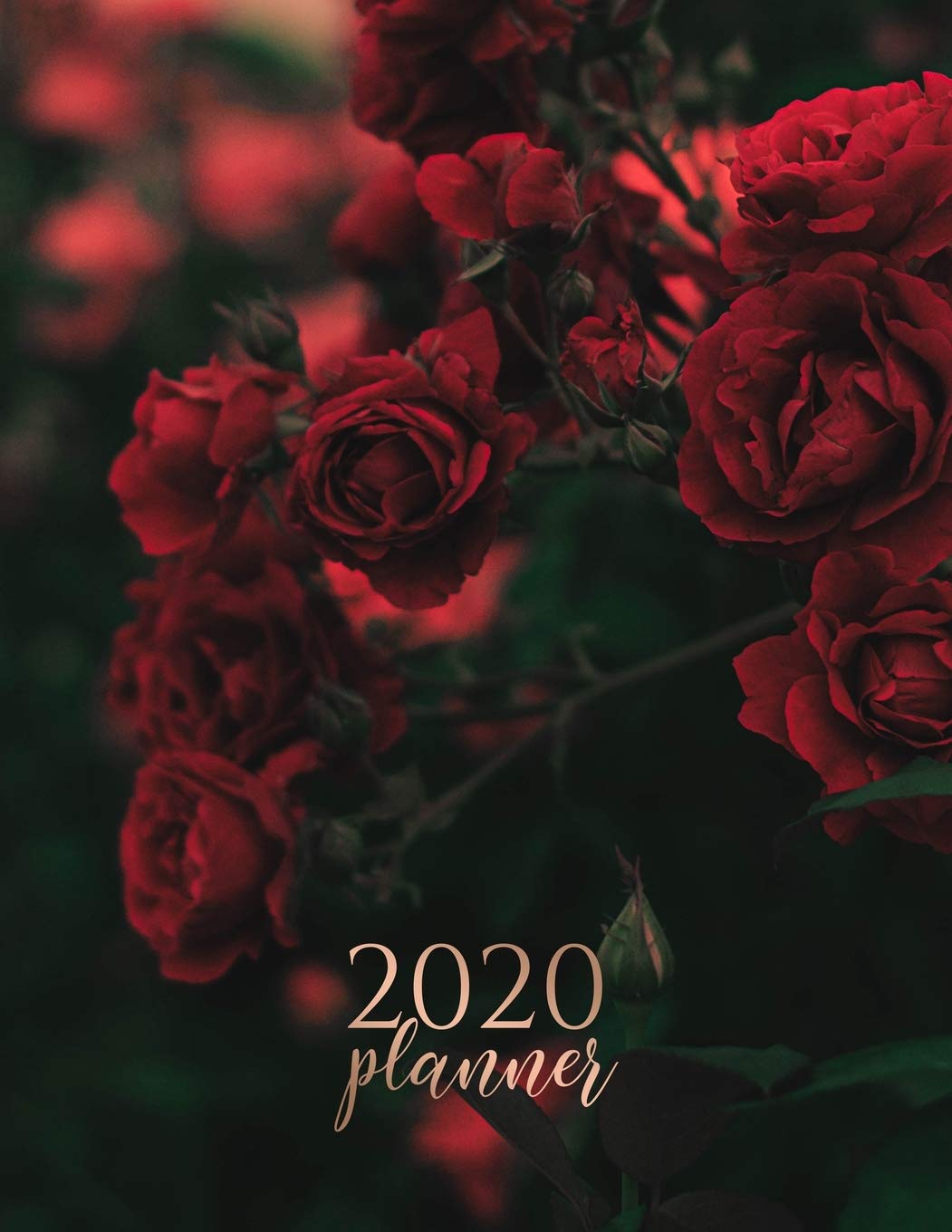 2020 Planner: Cute Red Flowers Weekly Planner | Life Organizer | Beautiful Organizer Journal for Women | 8.5x11 inches, 120 pages Books