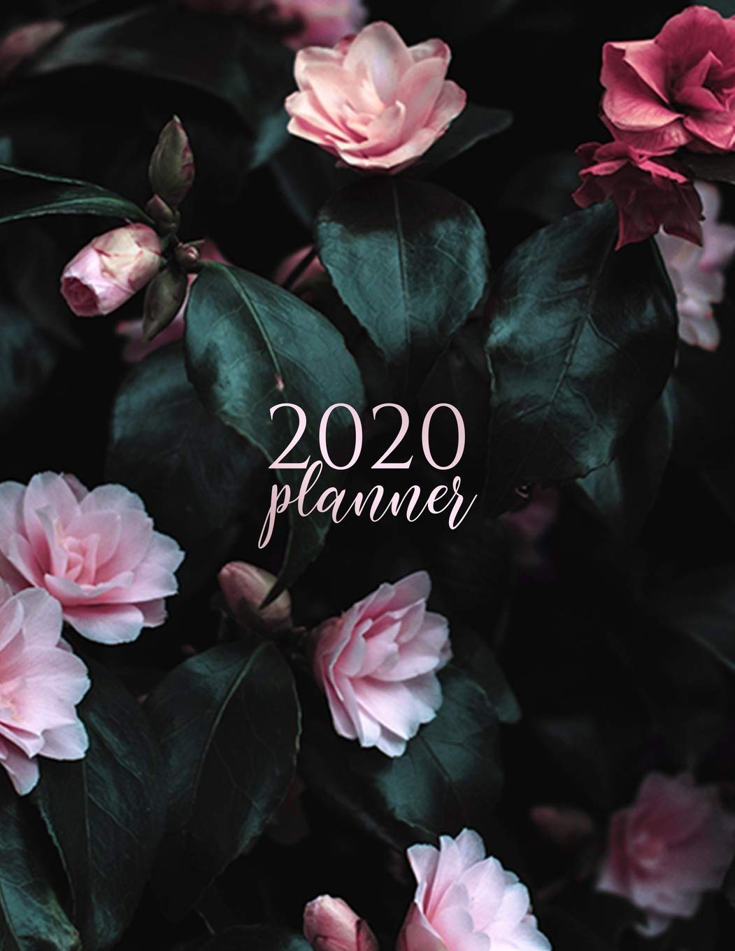 2020 Planner: Cute Flowery Pink Weekly Planner | Life Organizer | Beautiful Organizer Journal for Women | 8.5x11 inches, 120 pages Books