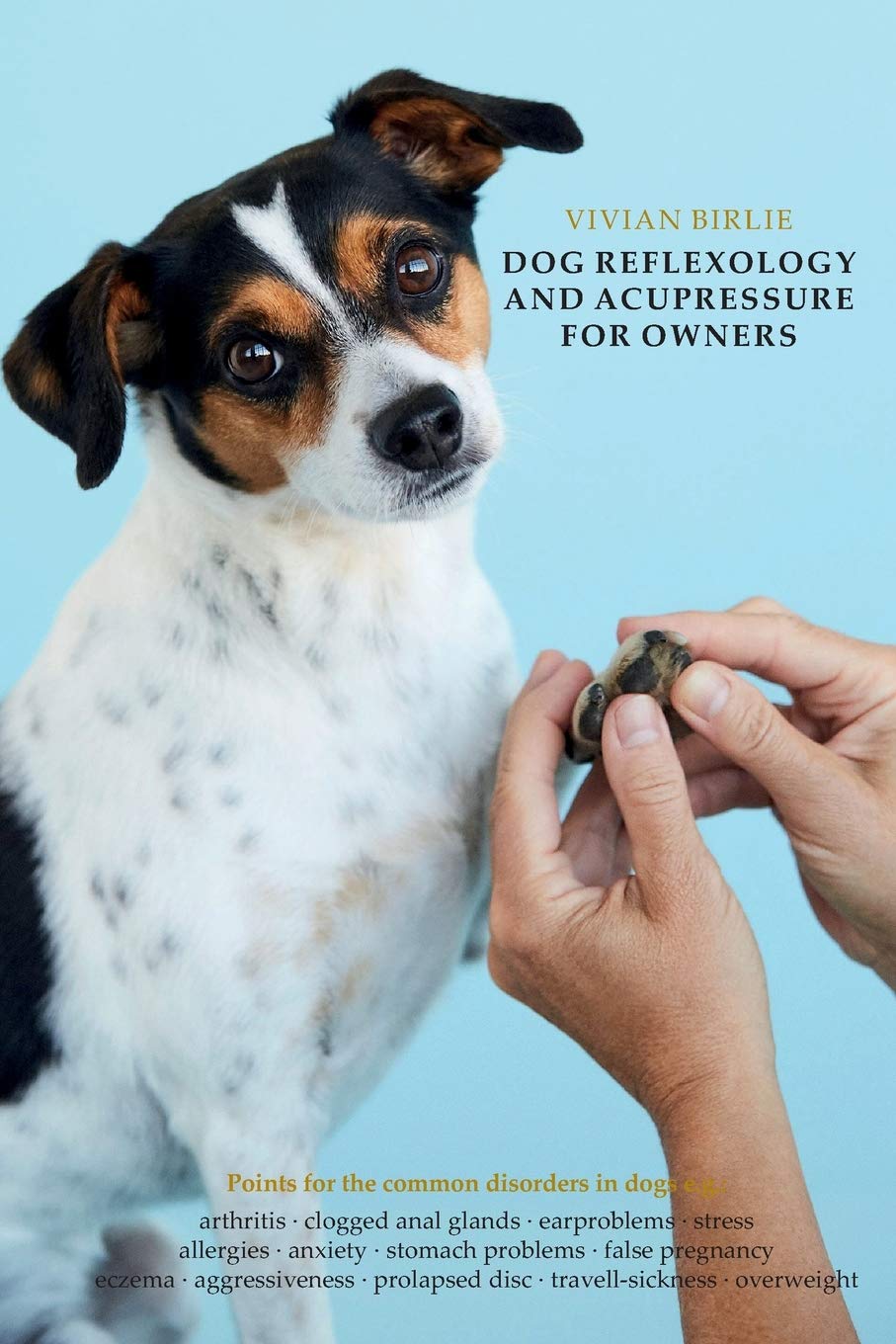 Dog reflexology and acupressure for owners book