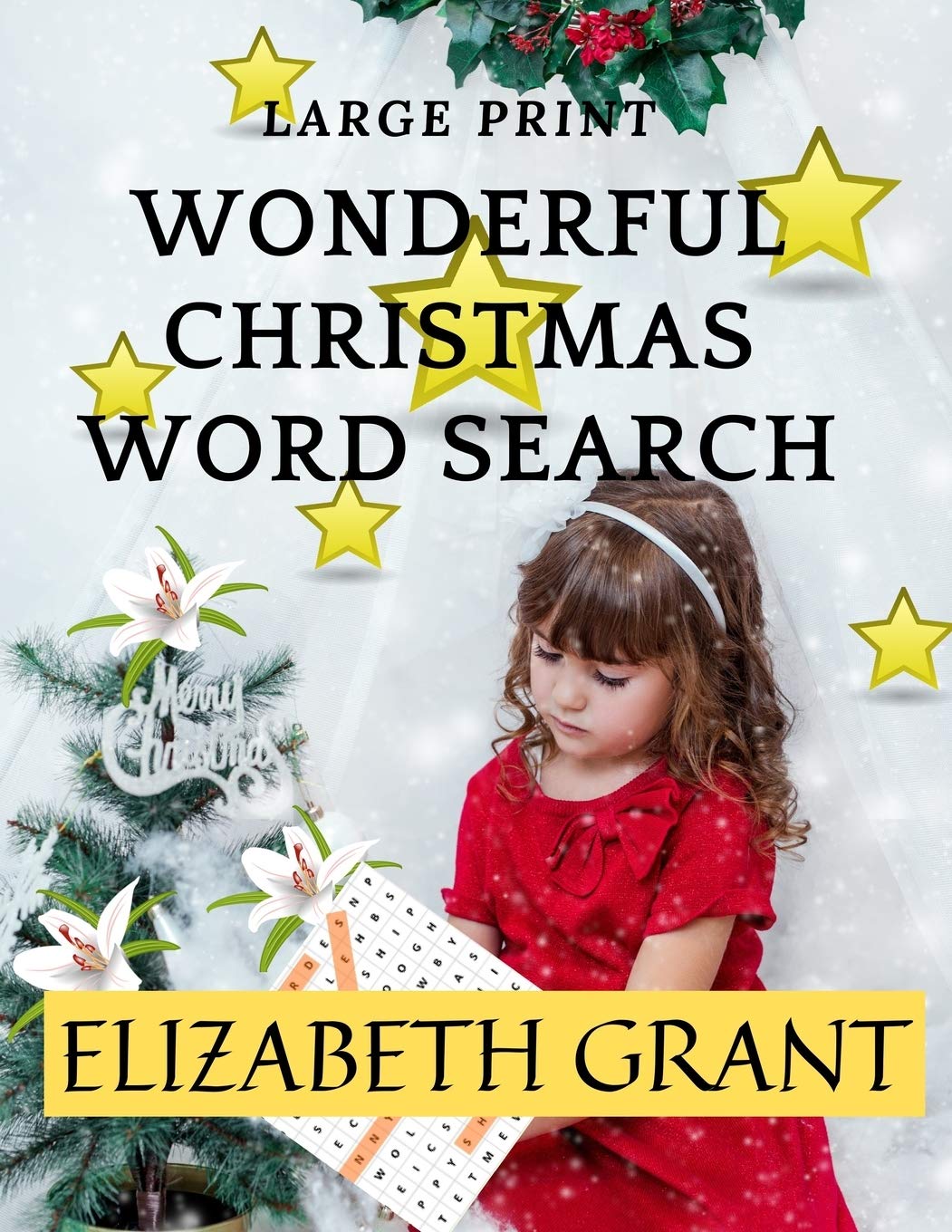 Wonderful Christmas Word Search: 28 Fun Puzzles with Solutions for Adults and Kids (Large Print) Leisure & Fun
