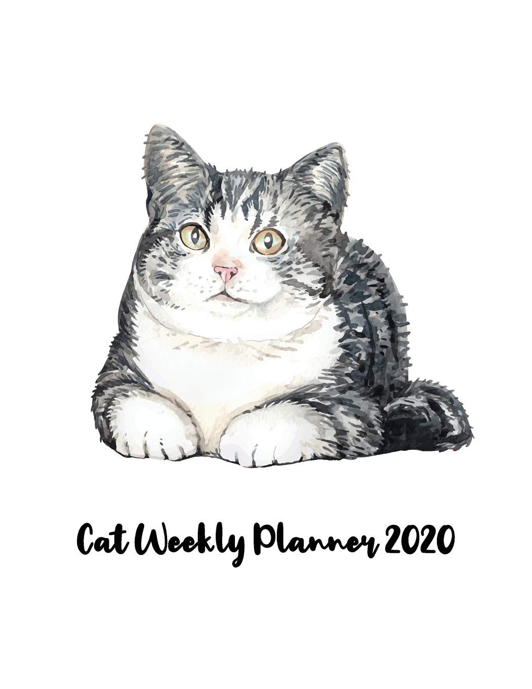 Cat Weekly Planner 2020: Water cat stuff monthly weekly planner with 12 months Jan 2020 - Dec 2020 for Schedule Organizer, To Do List, Academic ... Organizer Logbook and Journal Notebook. Business, Finance & Career