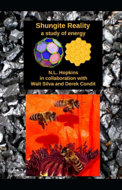 Shungite Reality: a study of energy book