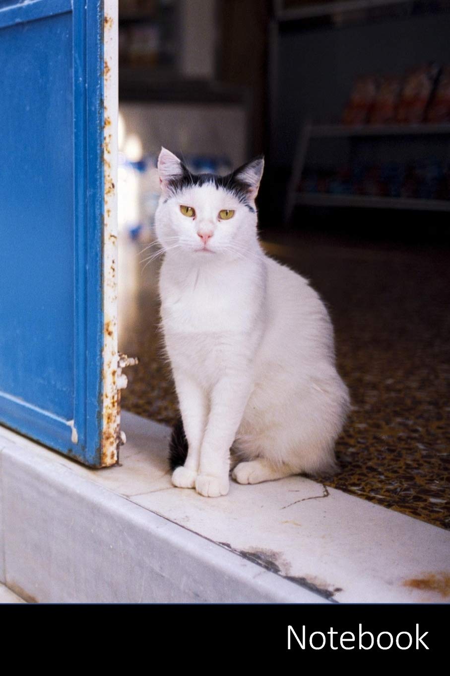 Notebook: Gato, Gatos Silueta, Silueta, Ojos De Gato Cuaderno / Diario / Libro de escritura / Notas - 6 x 9 pulgadas (15.24 x 22.86 cm), 150 páginas, superficie brillante. Mathematics