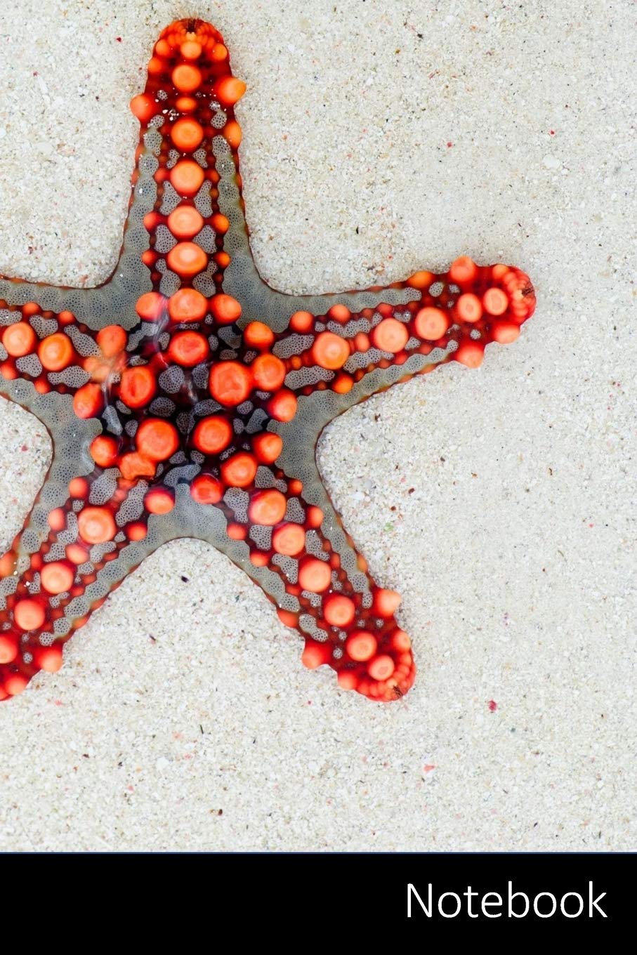 Notebook: Estrellas De Mar, Mar, Rojo, Animal Cuaderno / Diario / Libro de escritura / Notas - 6 x 9 pulgadas (15.24 x 22.86 cm), 150 páginas, superficie brillante. Mathematics