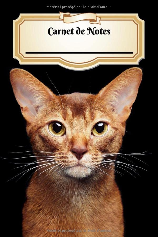 Carnet De Notes: Abyssin | Chat ou Chaton | A5 139 Pages Avec Papier Quadrillé 5 x 5 mm | Cahier d'écolier | Graph Paper Journal | Notebook | Espace pour votre nom, classe, cours Pets