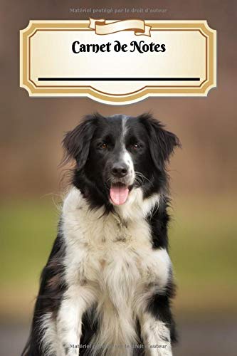 Carnet De Notes: Border Collie | Chiot ou Chien | A5 139 Pages Avec Papier Pointillé | Bullet Journal | Art Notes | Cahier | Dotted Journal | Notebook | Espace pour votre nom, classe, cours Pets