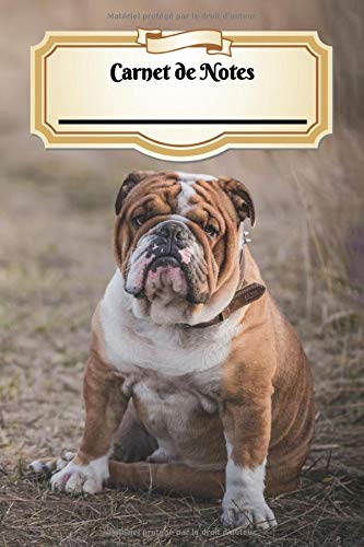 Carnet De Notes: Bulldog Anglais | Chiot ou Chien | A5 139 Pages Avec Papier Pointillé | Bullet Journal | Art Notes | Cahier | Dotted Journal | Notebook | Espace pour votre nom, classe, cours Pets