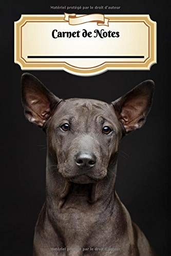 Carnet De Notes: Chien Thaïlandais à Crête Dorsale | Chiot ou Chien | A5 139 Pages Avec Papier Pointillé | Bullet Journal | Art Notes | Cahier | ... | Espace pour votre nom, classe, cours Pets