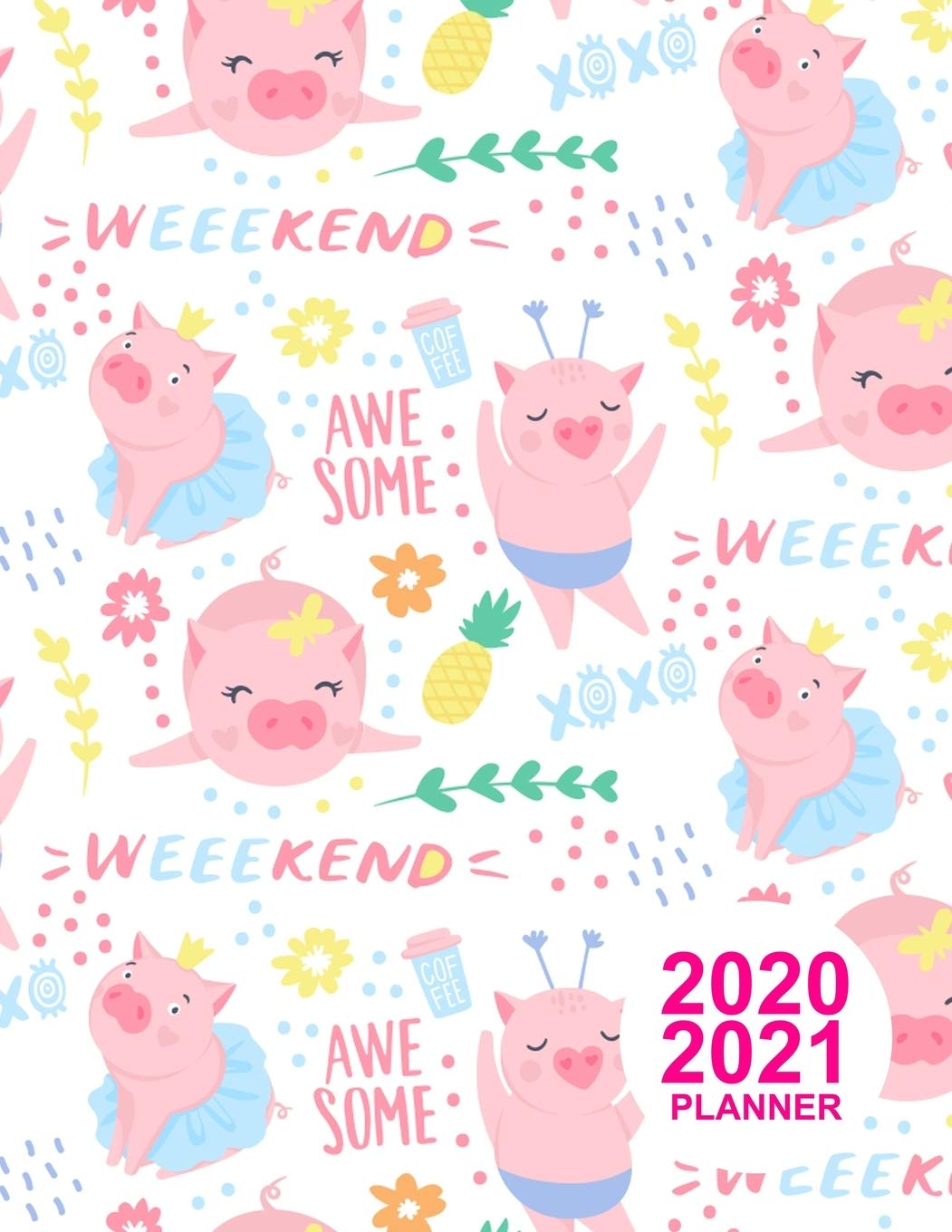 2020 2021 Planner: Nifty Daily, Weekly and Monthly Planner 2 Years | Agenda Schedule Organizer Logbook and Personal Journal Diary | 24 Months Calendar ... Appointment Book | Product Code BR 000023 book