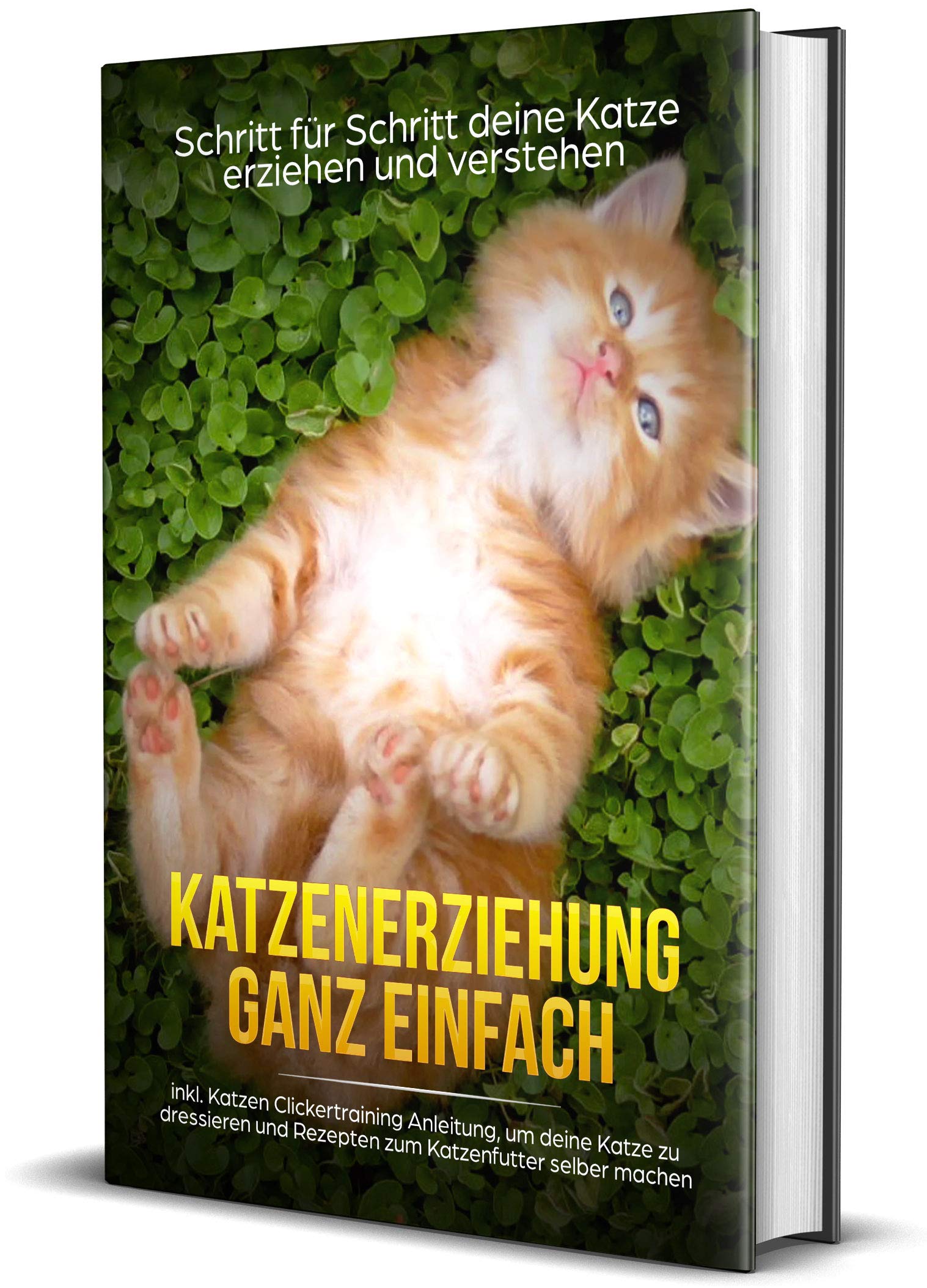 Katzenerziehung ganz einfach: Schritt für Schritt deine Katze erziehen und verstehen - inkl. Katzen Clickertraining Anleitung, um deine Katze zu dressieren und Rezepten zum Katzenfutter selber machen Pets