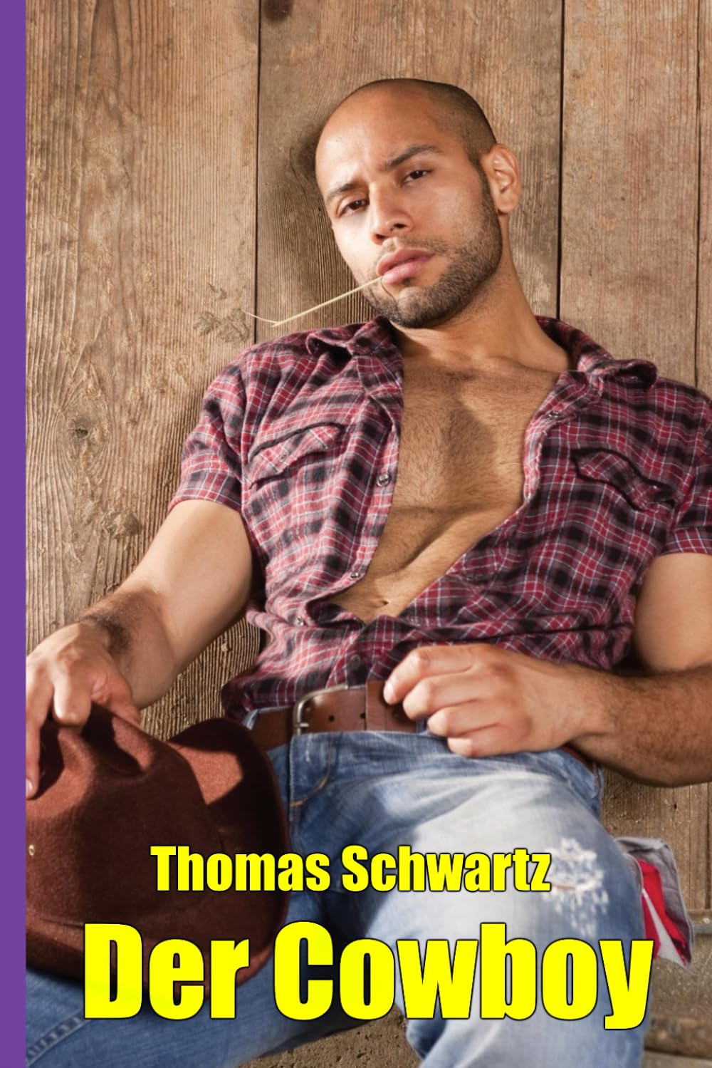 Der Cowboy (Männersachen, Band 6) Eroticism