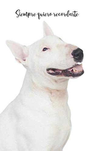 Siempre quiero recordarte: Cuaderno de contraseñas discreto | 109 Páginas | 432 Espaciosas cajas de registro | Bull Terrier | Sitio web, Nombre de ... cm | Seguridad de internet | Registro | Perro Computer Science