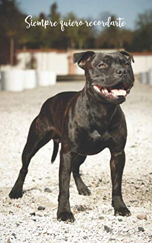 Siempre quiero recordarte: Cuaderno de contraseñas discreto | 109 Páginas | 432 Espaciosas cajas de registro | Pit Bull Terrier Americano | Sitio web, ... | 12,7 x 20,3 cm | Registro | Perro Computer Science