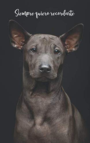 Siempre quiero recordarte: Cuaderno de contraseñas discreto | 109 Páginas | 432 Espaciosas cajas de registro | Ridgeback Tailandés | Sitio web, Nombre ... | 12,7 x 20,3 cm | Registro | Perro Computer Science