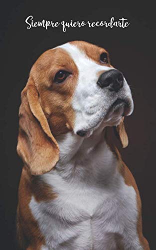 Siempre quiero recordarte: Cuaderno de contraseñas discreto | 109 Páginas | 432 Espaciosas cajas de registro | Beagle | Sitio web, Nombre de usuario, ... cm | Seguridad de internet | Registro | Perro Computer Science