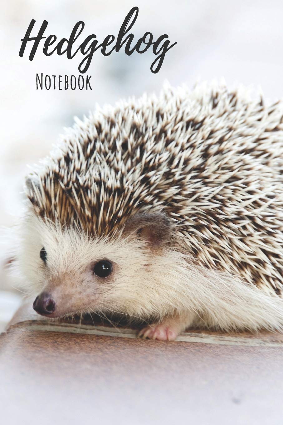 Hedgehog Notebook: 120 pages, 6"x9" - Cute Little Hedgehogs and Leaves College Ruled Notebook for Writing Notes... for Girls, Kids, School, Students and Teachers (Hedgehog Gifts) Mathematics
