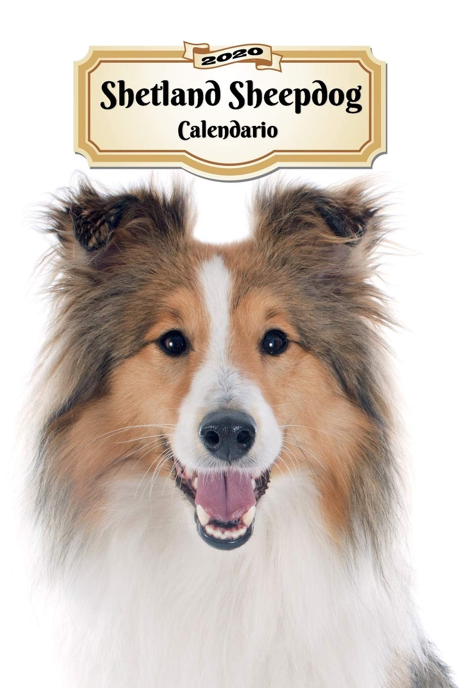 2020 Shetland Sheepdog Calendario: 107 Páginas | Tamaño A5 | Planificador Semanal | 12 Meses | 1 Semana en 2 Páginas | Agenda Semana Vista | Tapa Blanda | Perro Pets