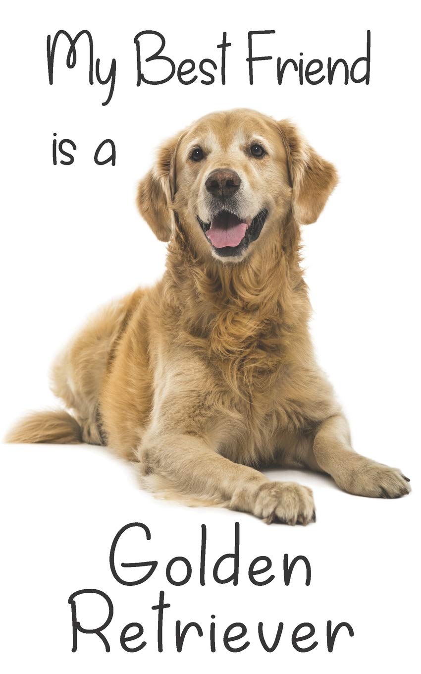 My best Friend is a Golden Retriever: 8” x 5” Blank lined Journal Notebook 120 College Ruled Pages (Best Friends, Band 3) Pets