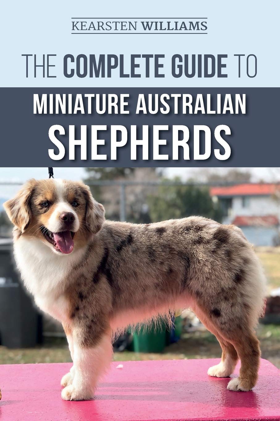The Complete Guide to Miniature Australian Shepherds: Finding, Caring For, Training, Feeding, Socializing, and Loving Your New Mini Aussie Puppy Pets