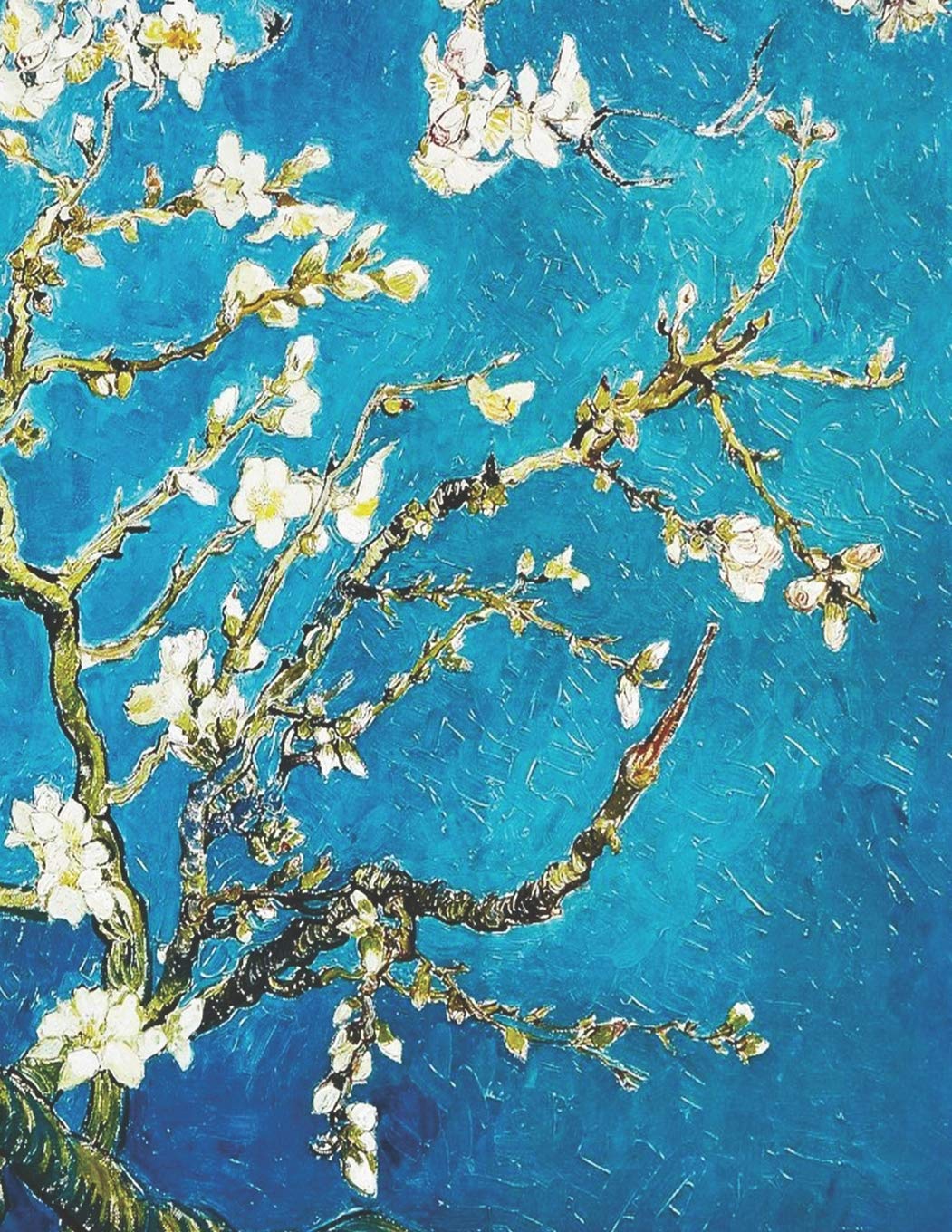 Vincent Van Gogh Black Paper Sketchbook: Almond Blossom | Dutch Masters Floral Art Notebook | For Drawing with Vivid Colors | Large Artistic ... Black Pages (Black Art Sketchbooks, Band 5) Mathematics