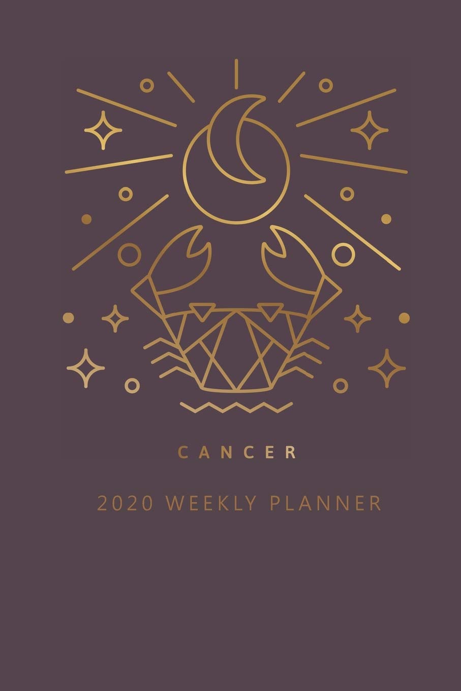 Cancer 2020 Weekly Planner (Burgundy) Business, Finance & Career
