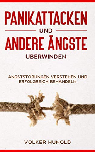 Panikattacken und andere Ängste überwinden: Angststörungen verstehen und erfolgreich behandeln Contemporary literature