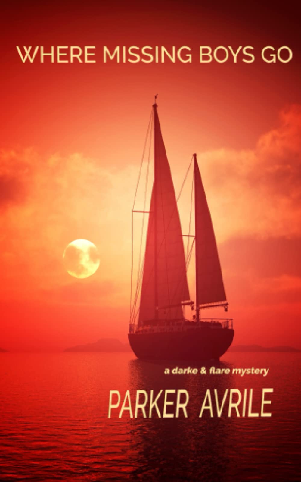 Where Missing Boys Go: A Darke and Flare Mystery LGBTQ+